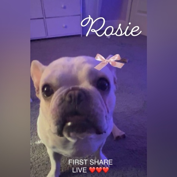 SHARE SHOW COME IN LET ME HELP YOU SALE YOUR AND MINE 🫶❤️🙏 - Picture 5 of 11